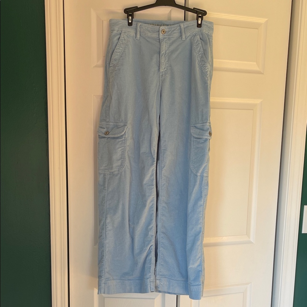 American Eagle Outfitters Light Blue Stretch Pants